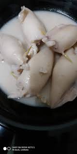 This is a unique traditional recipe of terengganu and is a popular tea time dish features squids stuffed with glutinous rice bathed in a sea of cooked thick coconut milk. Sedapnya Resepi Resepi Ketupat Sotong Terengganu Facebook