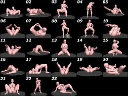 RJ406740][ティービースター] 自由に使えるポーズ集「エロティックポーズ」 のダウンロード情報 - DLDShare