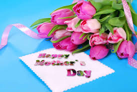 Последние твиты от steve's flowers indy (@stevesflowers). Dst Nnbw9rrxem
