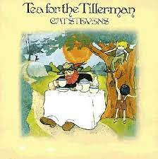 Cat Stevens Tea For The Tillerman Album Review 3 Sputnikmusic Cat Stevens Album Cover Art Vinyl