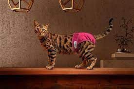 3 Pack Premium Washable Cat Diapers Kitten Diapers Pet Parents