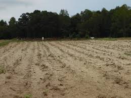 Lawrence Ricks Cemetery in North Carolina