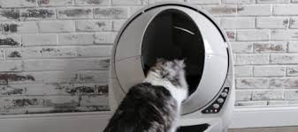 There are some remedies that will help you get rid of that unpleasant smell. Why Does Cat Pee Smell So Bad Litter Robot Blog