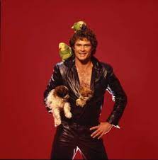 In the meantime, you can watch the epic battle between bear and stick. Just David Hasselhoff With Some Puppies Vintage Everyday 1980s Fashion Puppies David