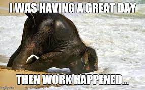 25 Mood Improving Memes For When You Re Having A Bad Day At Work Fairygodboss