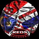 The REDS Recovery Services