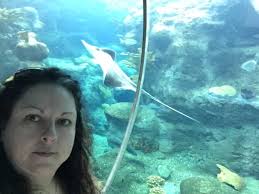 Scarlett House Victorian Bed & Breakfast