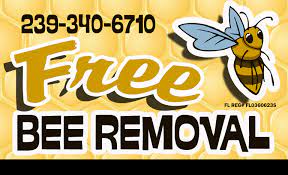 Florida bee removal performs live bee removal every chance we can, as we give them to local bee keepers. Free Bee Removal