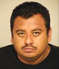 Daniel Wolowicz's Instagram, Twitter & Facebook