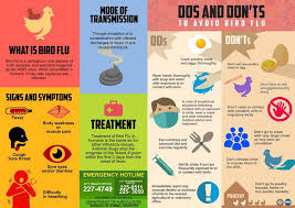 Discussion on bird flu virus and symptoms. Bird Flu Epidemiology And Prevention Astral Hygiene