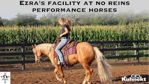Facility Insider Look & Tour @ No Reins Performance Horses with Ezra Yoder