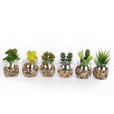 Learn how to secure artificial plants in pots to increase stability and improve appearance. Or0695 Succulent In Glass Pot 6 Assorted 35712 Interior Decor Artificial Flowers Rosefields