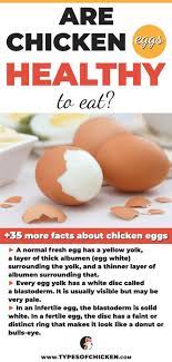 Benefits From Eating Chicken Eggs Chicken Health Chicken Eggs Eat