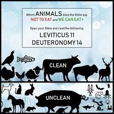 Maybe you would like to learn more about one of these? 28 What Animals Does The Bible Say Not To Eat Images Bible Images Collection