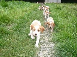 Epingle Sur Britty Love