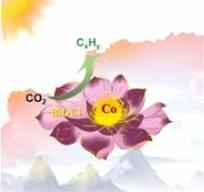 Spin polarization regulates photocatalytic CO2 into ...