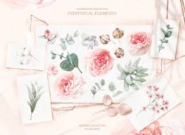 Most relevant best selling latest uploads. Watercolor Romantic Flower Collection In Illustrations On Yellow Images Creative Store