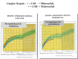 > 12.6 kg)(kelebihan berat badan). Ukuran Normal Lingkar Kepala Bayi 9 Bulan Berbagai Ukuran