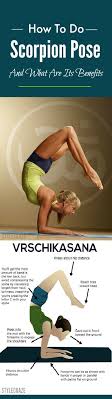 This Asana Is Also Known As The Scorpion Pose It Requires Both Core And Shoulder Strength It Is An Extremely Chall How To Do Yoga Scorpion Pose Yoga Benefits