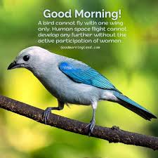 Check spelling or type a new query. Share Good Morning Birds Images With Your Loved Ones 2021 Good Morning Images Quotes Wishes Messages Greetings Ecards