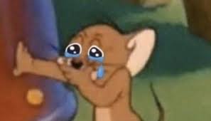 Please Im Crying Cute Memes Funny Memes Cartoon Memes