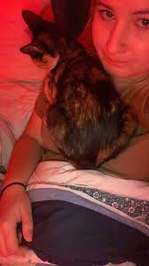 Lost and Found Pets in Maine