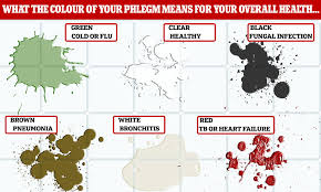 Colour chart , www.digitalpetart.co.uk/colour chart , stunning digital images created from a simple photograph , choose a background colour to match and room decor. Phlegm Colour Chart What Your Mucus Says About Your Health Daily Mail Online