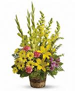 I think we take a lot of pride in how the city takes care of our community. Flowers To Ames Iowa Ia Funeral Homes Cemeteries And Cremation Providers Same Day Delivery By A Local Florist In Ames