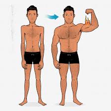 bodyweight hypertrophy workouts