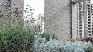 太研設計吳書原作品 璞園春生生 欣建築 欣傳媒建築設計頻道 landscape design landscape perennial plants