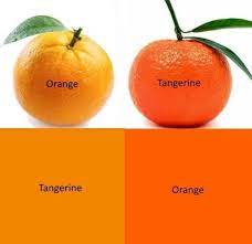 Some fruit and vegetable varieties can by grown outside of their usual season by being grown in hot houses/greenhouses. Apparently Oranges Are Not Orange They Re Tangerine And Tangerines Are Orange R Mildlyinfuriating Mildly Infuriating Know Your Meme