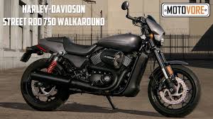 Harley Davidson Street Rod 750 Vs Street 750 Walkaround Youtube
