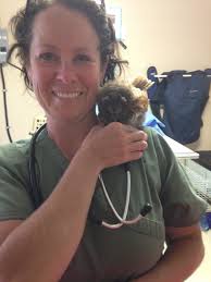 Sheabel Veterinary Hospital