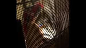 spy through the window - XNXX.COM