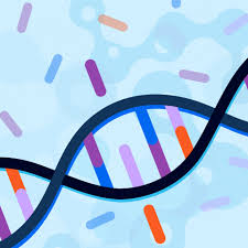 Mthfr Gene Could Be The Cause Of Weight Gain Or Prevent Weight Loss