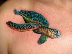 We did not find results for: Sea Turtle Ink Tatuajes De Tortugas Marinas Tatuajes De Tortugas Tinta Para Tatuaje