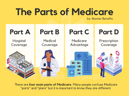We did not find results for: Medicare Parts Learn The Parts Of Medicare Medicare Parts A B C D