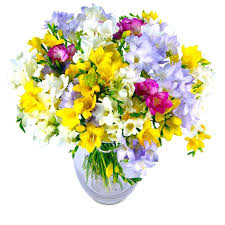 Choose from classic roses, soft lilies and more. Freesia Fragrance Fresh Flower Bouquet Gorgeous Freesia Flowers By Expert Florists And Delivered Next Day