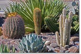 We did not find results for: Water In The Southwest The Future Desertusa