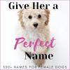 For starters, the name should match the animal's attitude. 1