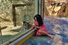 aslanpark nerede nasil gidilir giris ucreti ne kadar nerdesinbahar com