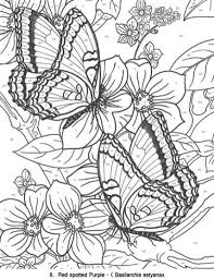 This coloring sheet will look beautiful. 20 Free Printable Butterfly Coloring Pages For Adults Everfreecoloring Com
