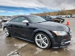 Image result for Oolong Gray 2014 TTS