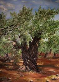 404 Not Found Tree Drawing Olive Tree Tree Wallpaper Art