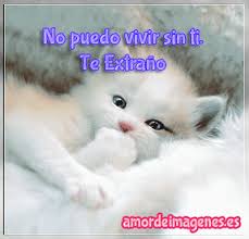 Resultado de imagen para imagenes de amor