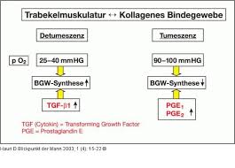 The mechanism s of p roanthocyanidins inhibited pge2 synthesis in. Abbildung 6 Trabekelmuskulatur Kollagenes Bindegewebe