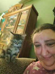 Help looking for cute name for my girl cat : r/NameMyCat