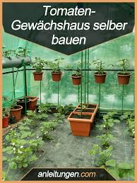 Tomaten Gewachshaus Selber Bauen Tomaten Zuchtet Man Am Besten In Einem Kleinen Gewachshaus An Mi Gewachshaus Selber Bauen Tomaten Gewachshaus Gewachshaus