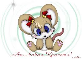 Собаки и охоты Василия Алешина. - Страница 112 - Собаки пользователей  форума - ОХОТА С ЛАЙКОЙ