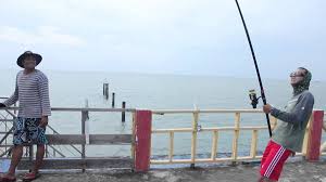 Misteri bunyi ketukan di sabak bernam… apa sebenarnya yang berlaku? Tourism Selangor On Twitter Kelong Paradise Is Right In The Fish Middle Of The Sea That Promises Nothing But The Best In Terms Of Catch This Is One Place Where Anglers Can